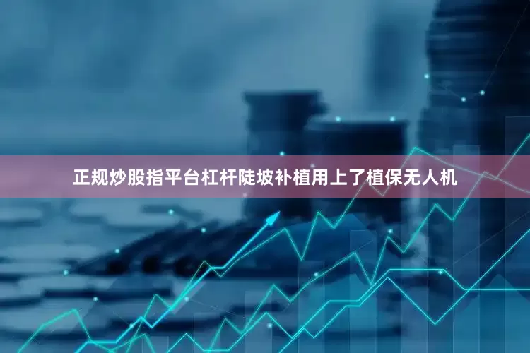 正规炒股指平台杠杆陡坡补植用上了植保无人机